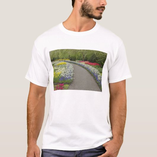 Sidewalk durch Tulpen und daffodils, 2 T-Shirt (Vorderseite)