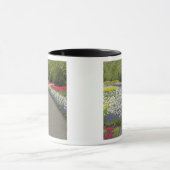 Sidewalk durch Tulpen und daffodils, 2 Tasse (Zentrum)