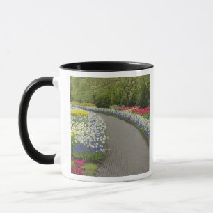 Sidewalk durch Tulpen und daffodils, 2 Tasse