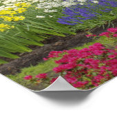 Sidewalk durch Tulpen und Narzissen, 2 Poster (Ecke)