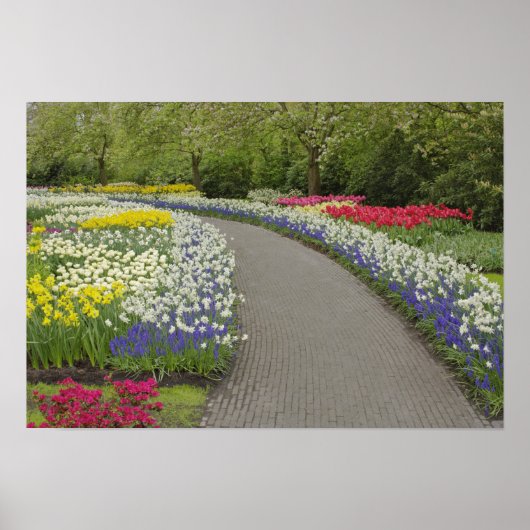 Sidewalk durch Tulpen und Narzissen, 2 Poster (Vorne)