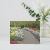 Sidewalk durch Tulpen und Narzissen, 2 Postkarte (Stehend Vorderseite)