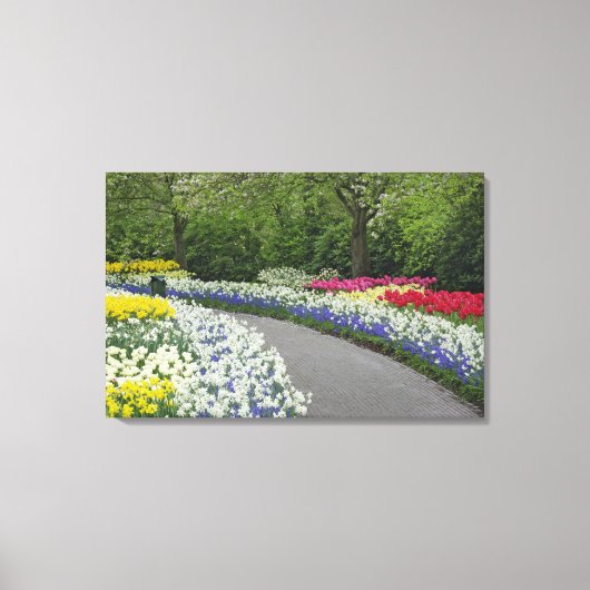 Sidewalk durch Tulpen und Narzissen, Leinwanddruck (Vorderseite)