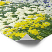 Sidewalk durch Tulpen und Narzissen, Poster (Ecke)