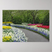 Sidewalk durch Tulpen und Narzissen, Poster (Vorne)