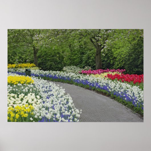 Sidewalk durch Tulpen und Narzissen, Poster (Vorne)