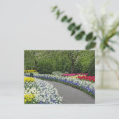 Sidewalk durch Tulpen und Narzissen, Postkarte (Stehend Vorderseite)
