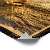 Sideway Foto Image Print Poster (Ecke)