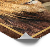 Sideway Lion Foto Poster (Ecke)