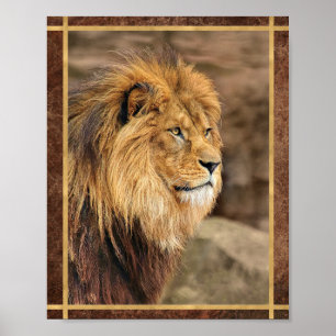 Sideway Lion Foto Poster