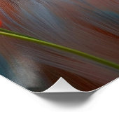 Sídney: Arte de Línea contemporáneo, coordenadas. Poster (Ecke)