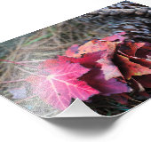 Sie alle fallen fotodruck (Ecke)