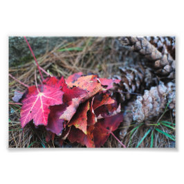 Sie alle fallen fotodruck