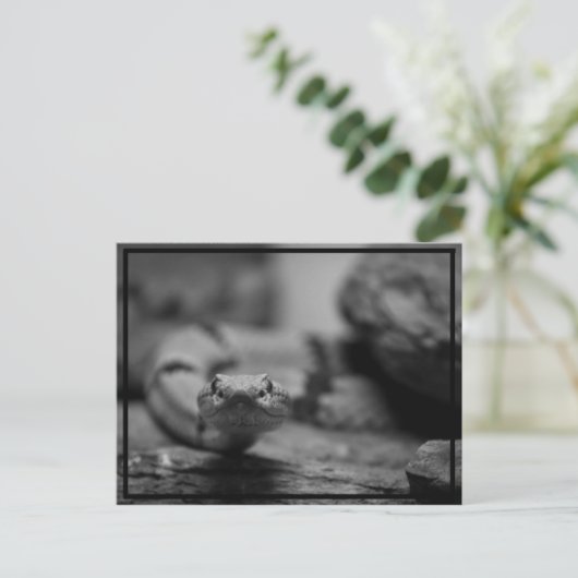 Sie anschauen! postkarte (Stehend Vorderseite)