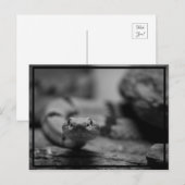 Sie anschauen! postkarte (Vorne/Hinten)