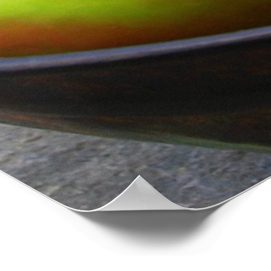 sie Äpfel Poster (Ecke)