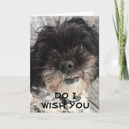 SIE BETCHA, DASS ICH IHNEN EINEN FREUNDLICHEN GEBU KARTE (Vorderseite)