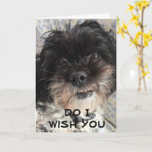 SIE BETCHA, DASS ICH IHNEN EINEN FREUNDLICHEN GEBU KARTE (Gelbe Blume)