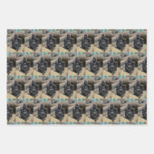 SIE BIG GORILLA GESCHENKPAPIER SET (Vorderseite)