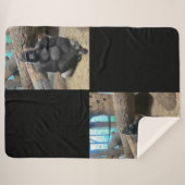 SIE BIG GORILLA SHERPADECKE (Vorderseite (Horizontal))