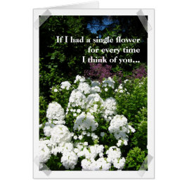 Sie bilden den Garten meiner Lebenkarte