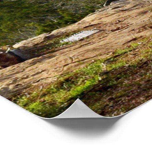 Sie, die auf das Lord Poster Jeremiah warten 29:11 (Ecke)