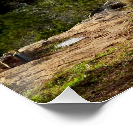 Sie, die auf das Lord Scripture Poster warten (Ecke)