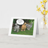 SIE -****ERSTATTUNG****? GROSSE NACHRICHTEN **ENJO KARTE (Gelbe Blume)