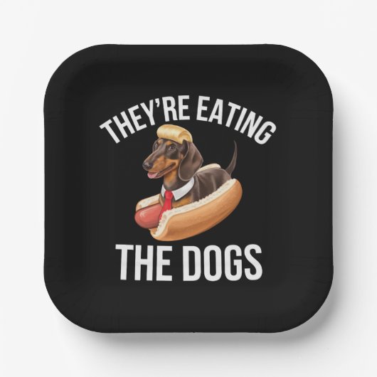 Sie essen die Hunde Donald Trump Debate 2024 Pappteller (Vorderseite)