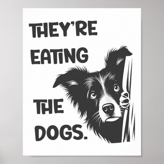 Sie essen die Hunde US-Wahl Trump 2024 H Poster (Vorne)