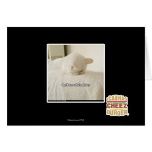 sie finden nie meh hier