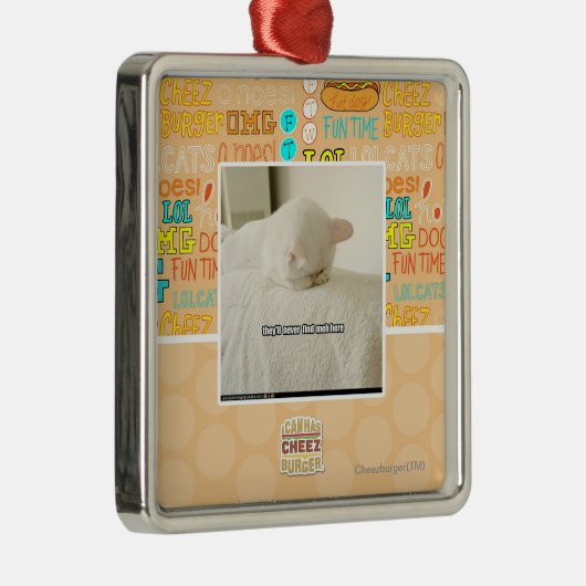 sie finden nie meh hier silbernes ornament (Rechts)