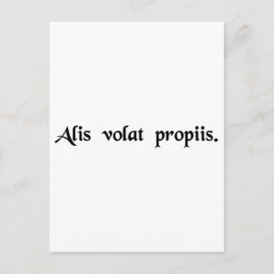 Sie fliegt mit ihren eigenen Flügeln Postkarte