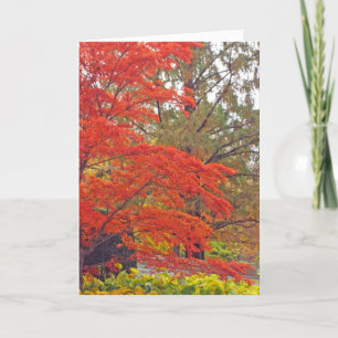 "SIE FÜGEN MEINER WELT FARBE & VIBRANCY HINZU" (GL KARTE