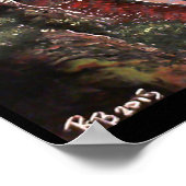 Sie gefunden! poster (Ecke)