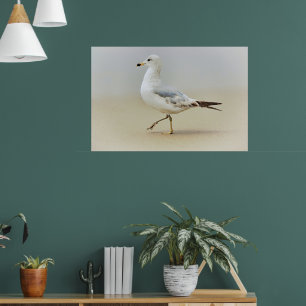 Sie gehen Gull Sea Gull Beach Art Poster
