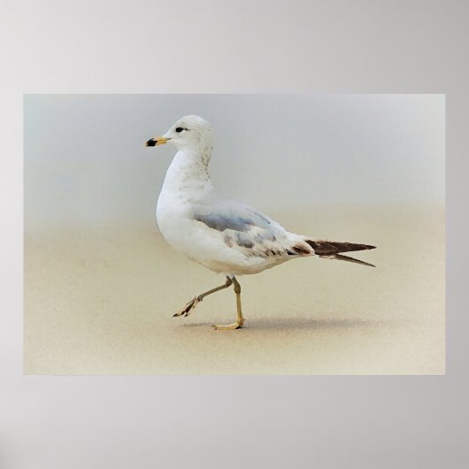 Sie gehen Gull Sea Gull Beach Art Poster (Vorne)