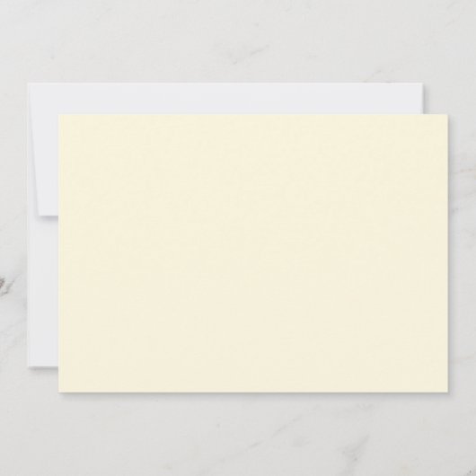 Sie Got ihm ein whipped Cowgirl Whip Brautparty Einladung (Rückseite)