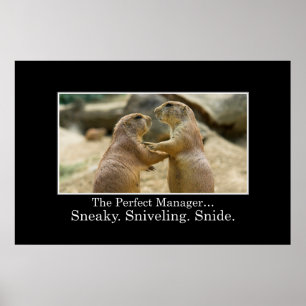 Sie haben alle Qualitäten eines großartigen Manage Poster