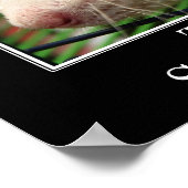 Sie haben alle Qualitäten eines großartigen Manage Poster (Ecke)