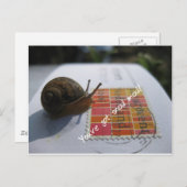 Sie haben eine Schnecke got Postkarte (Vorne/Hinten)