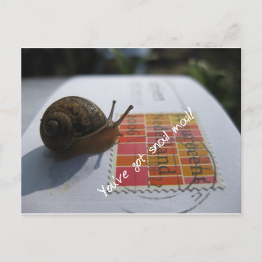 Sie haben eine Schnecke got Postkarte (Vorderseite)