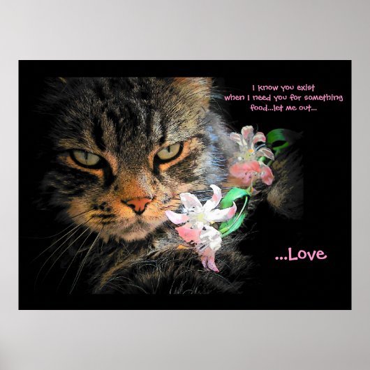 Sie haben für Liebe Kat Haiku Poster (Vorne)