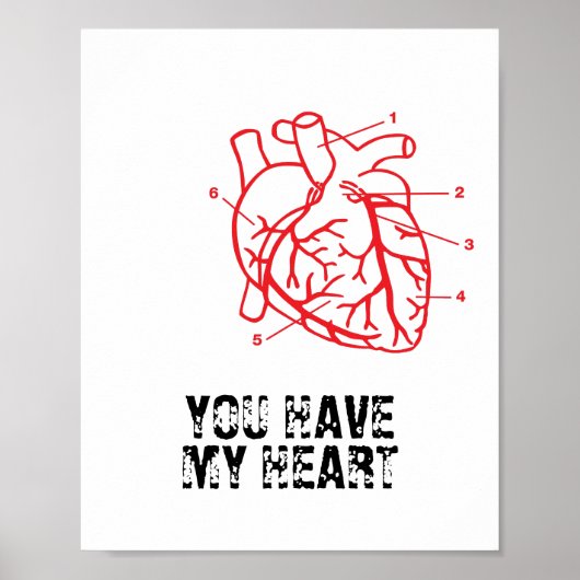 SIE HABEN MEIN HERZ POSTER (Vorne)