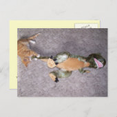 Sie haben mir keine Angst Postkarte (Vorne/Hinten)