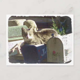 Sie haben Postkarte Got