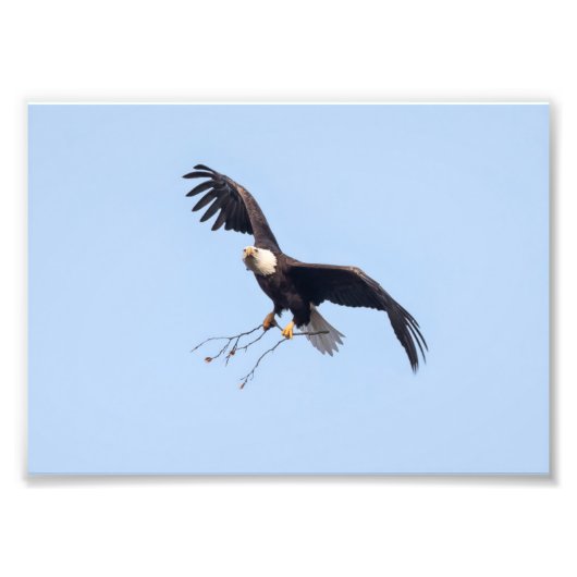 Sie hat einen Stock Fotodruck (Vorne)