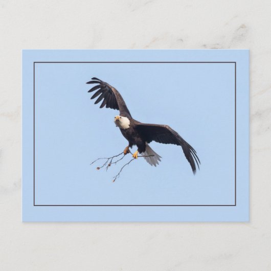 Sie hat einen Stock Postkarte (Vorderseite)