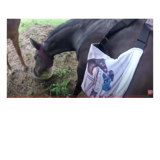 Sie hat so viel Spaß! Zweifarbige Tasse