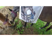 Sie hat so viel Spaß! Zweifarbige Tasse